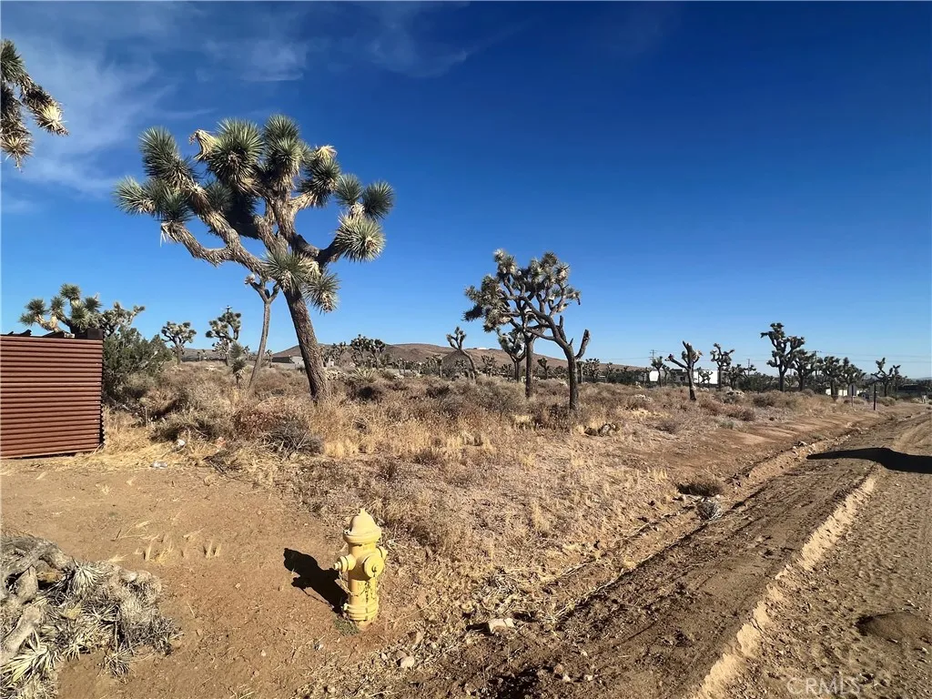 111 Wallaby, Yucca Valley, Ca 92284 - Photo 3 of 5, Yucca Valley, CA
