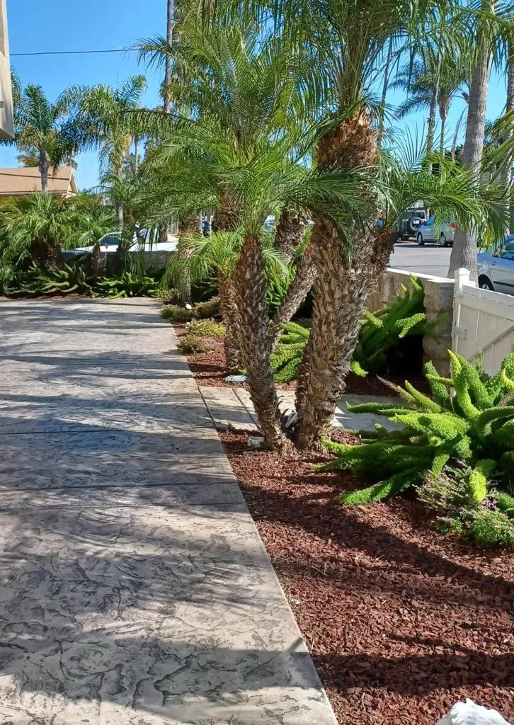 https://cdn.realtyfeed.com/cdn/127/306005041/a5ca38f3d93d2a6ce73a8ce72f873c99.webp