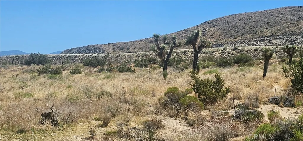 0 Avenue X / 136th St E, Pearblossom, CA, 93553
