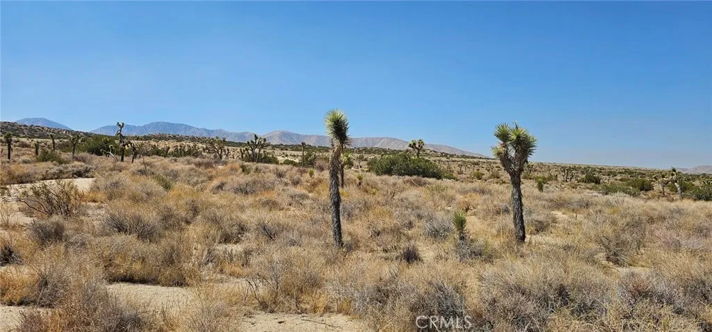 0 Avenue X / 136th St E, Pearblossom, CA, 93553