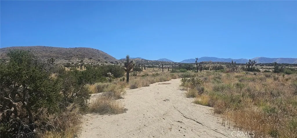 0 Avenue X / 136th St E, Pearblossom, CA, 93553