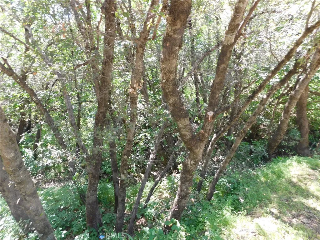 15773 39th, Clearlake, Ca 95422 - Photo 3 of 6, Clearlake, CA