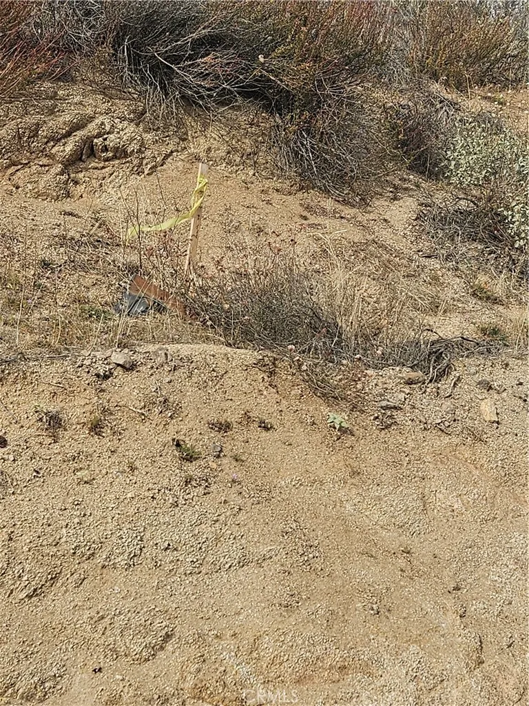 0 Vac/San Gabriel Ave/Vic Sierra, Acton, CA, 93510