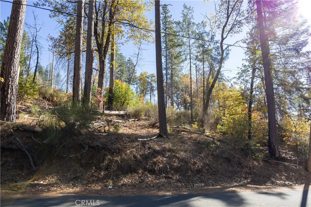 Cobb, CA 95426