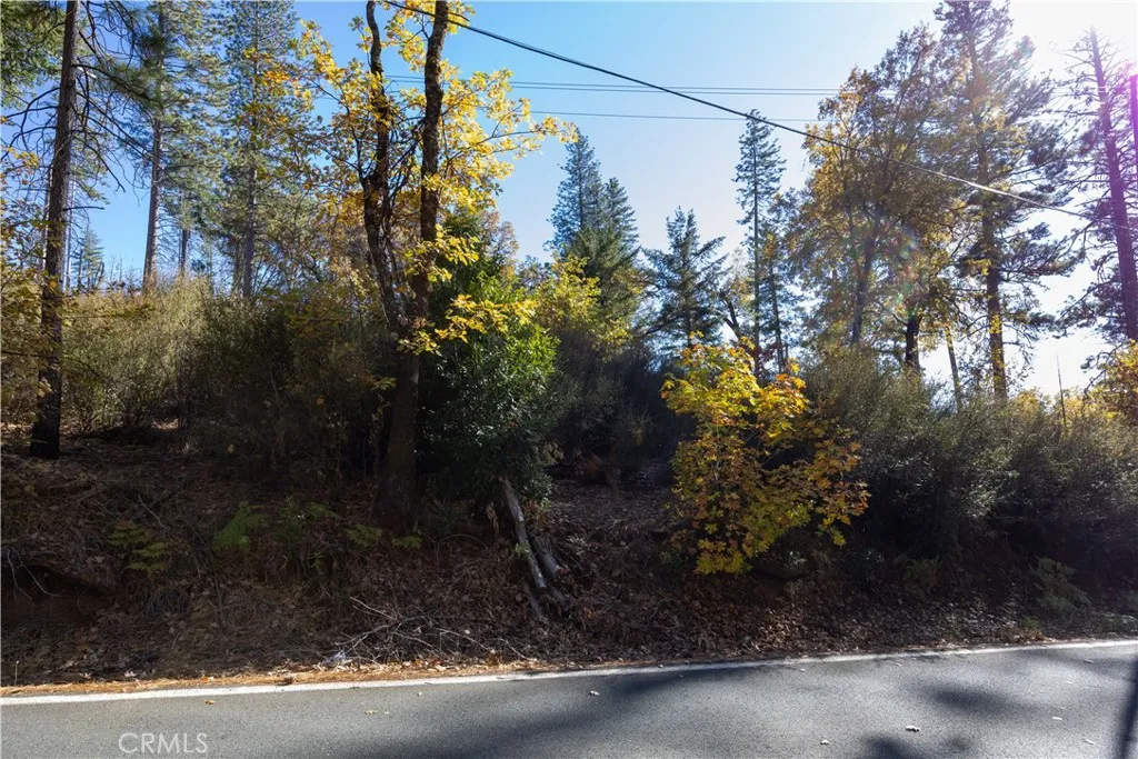 Cobb, CA 95426