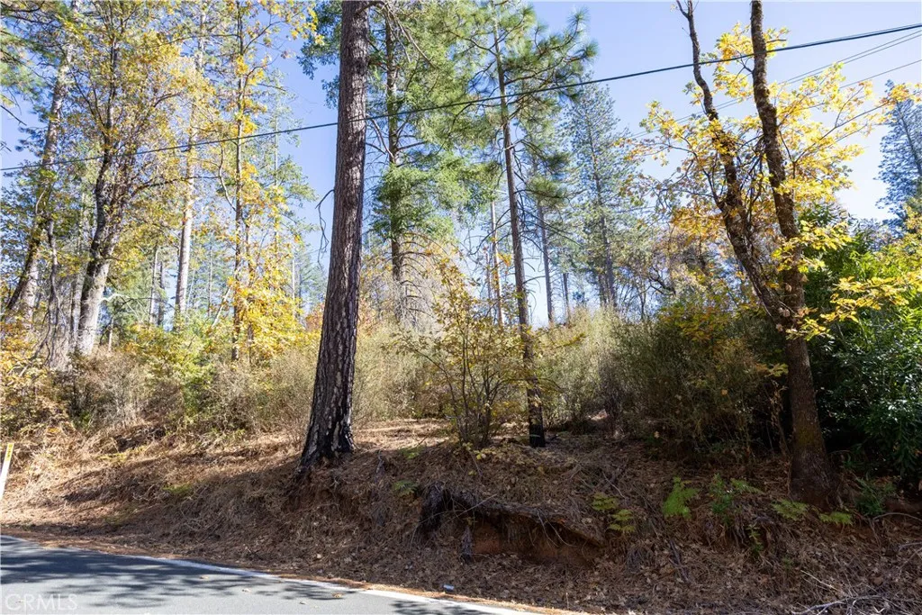 Cobb, CA 95426