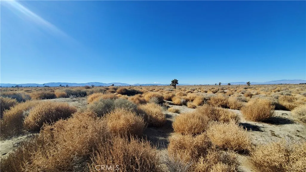 0 Vicinity Avenue L2 & 77th East, Palmdale, CA, 93535