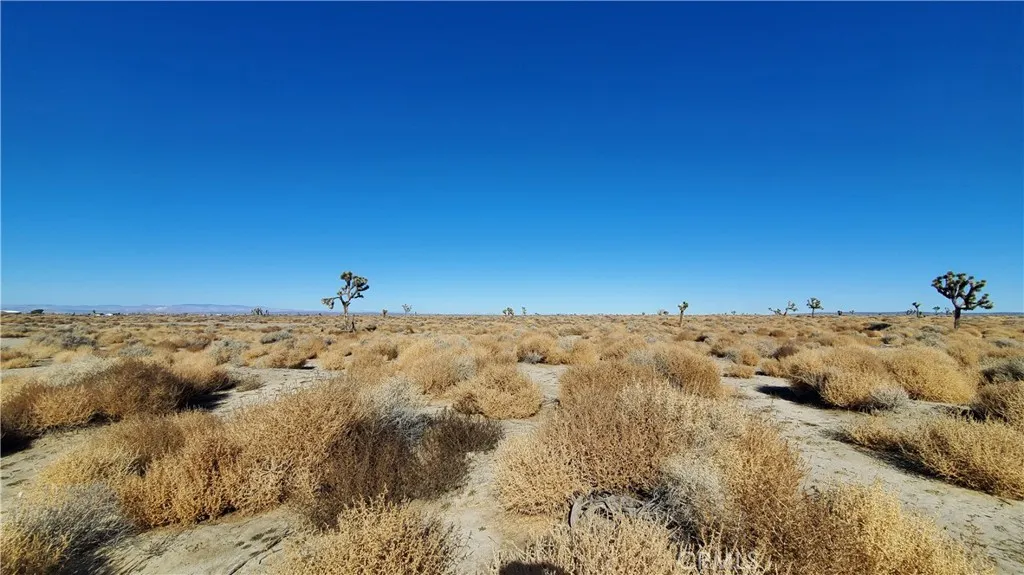 0 Vicinity Avenue L2 & 77th East, Palmdale, CA, 93535