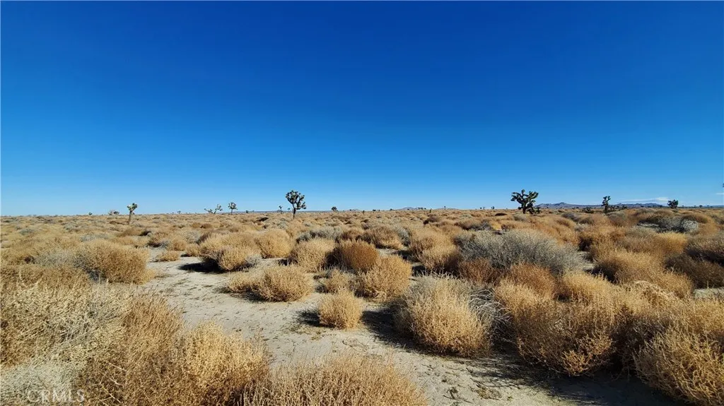 0 Vicinity Avenue L2 & 77th East, Palmdale, CA, 93535