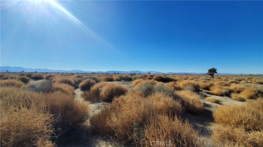 0 Vicinity Avenue L2 & 77th East, Palmdale, CA, 93535