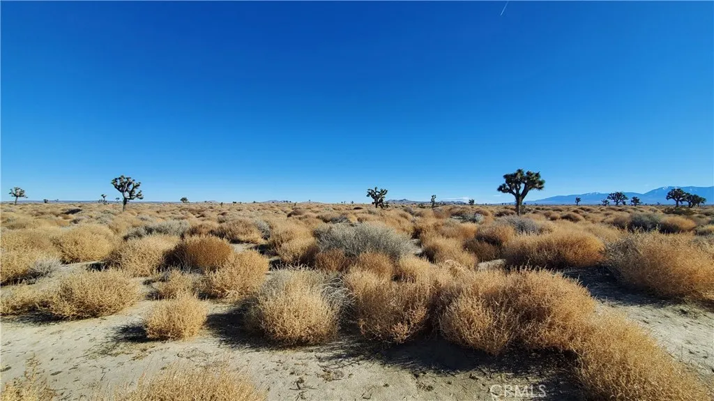 0 Vicinity Avenue L2 & 77th East, Palmdale, CA, 93535