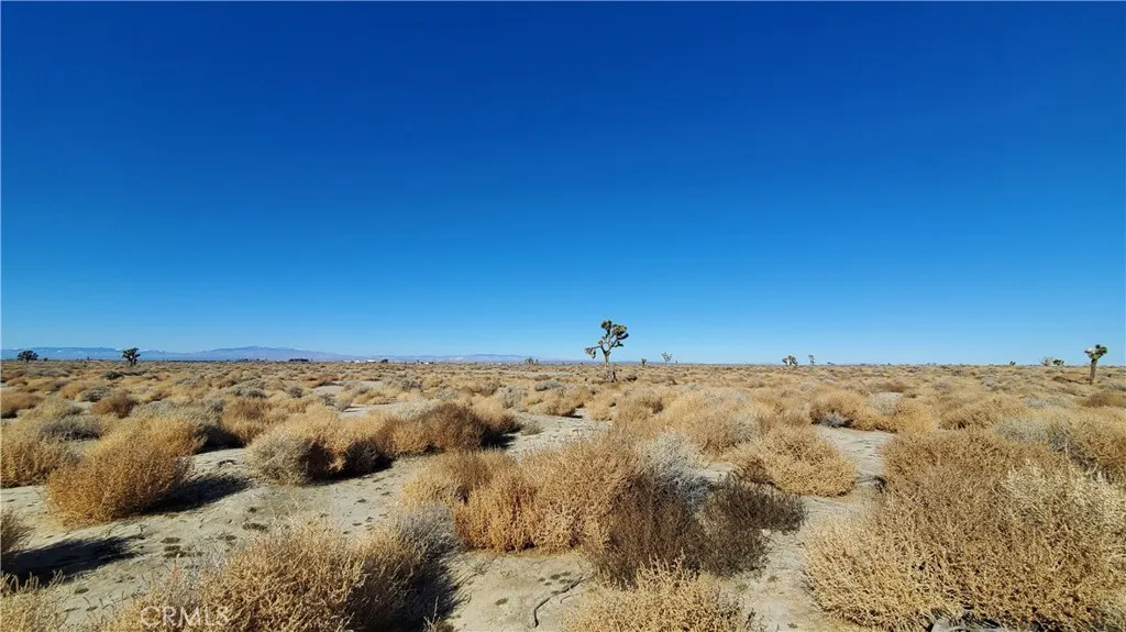 0 Vicinity Avenue L2 & 77th East, Palmdale, CA, 93535