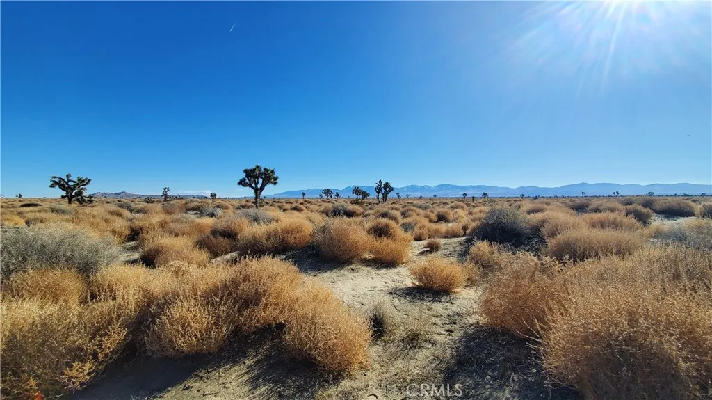 0 Vicinity Avenue L2 & 77th East, Palmdale, CA, 93535