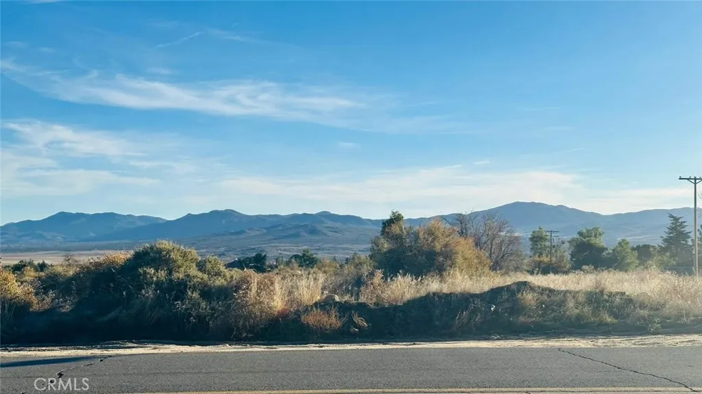 0 Mitchell Rd, Anza, CA, 92539