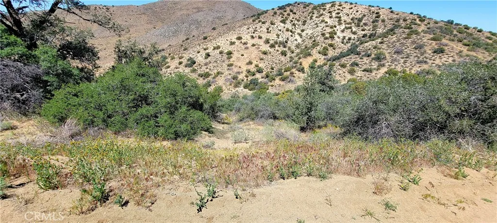 0 Vac/Vic Oracle Hills/Dusty, Acton, CA, 91350