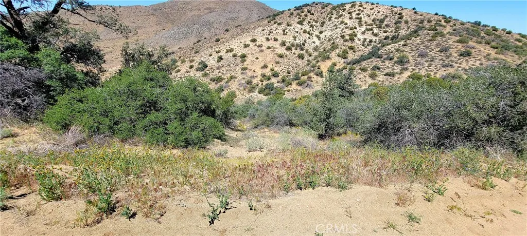 0 Vac/Vic Oracle Hills/Dusty, Acton, CA, 91350