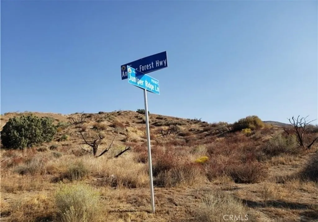 0 Vac/Vic Oracle Hills/Dusty, Acton, CA, 91350