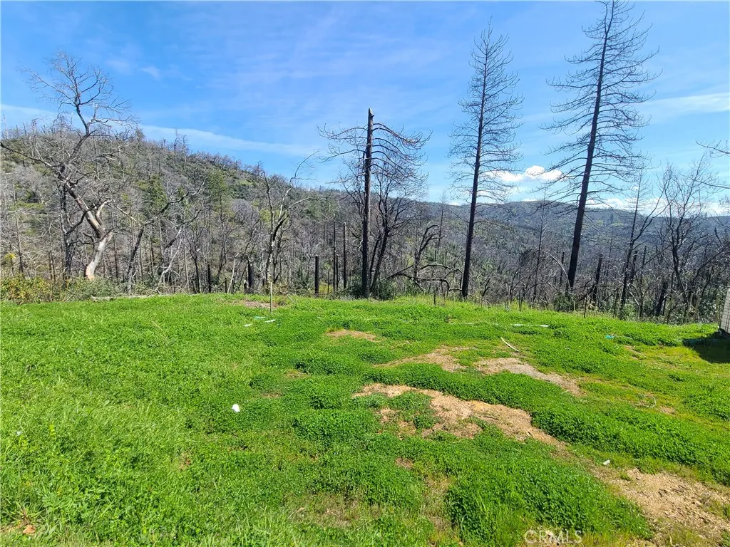 519 Little Ridge Road, Berry Creek, Ca 95916 - Photo 3 of 7, Berry Creek, CA