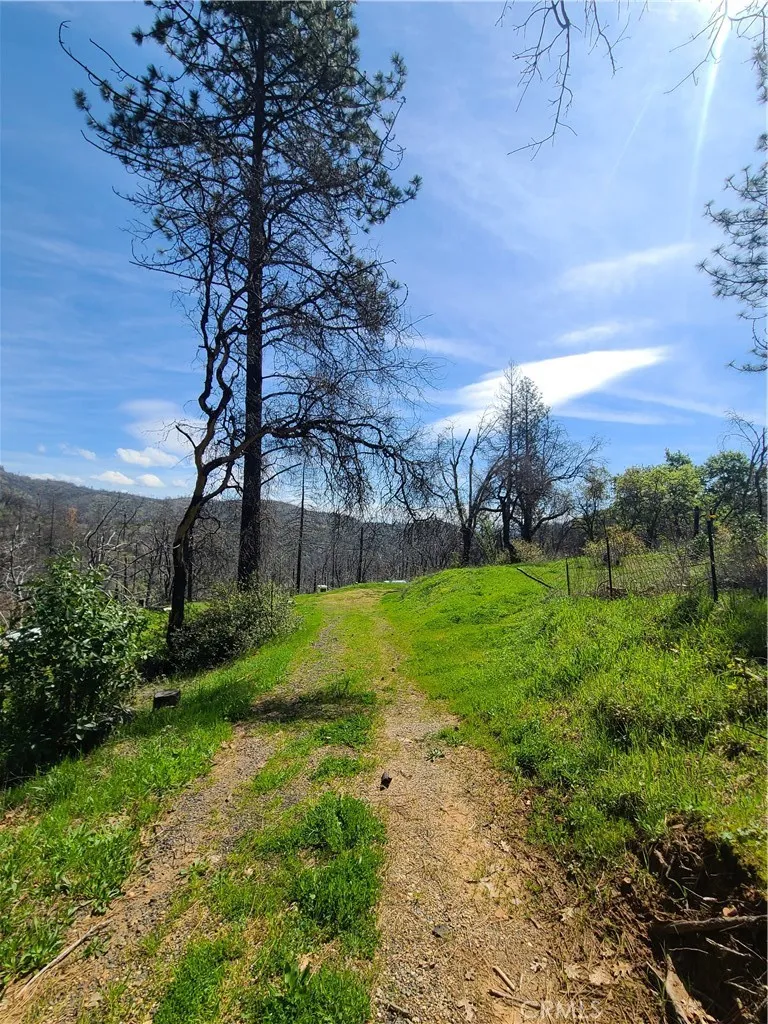 519 Little Ridge Road, Berry Creek, Ca 95916