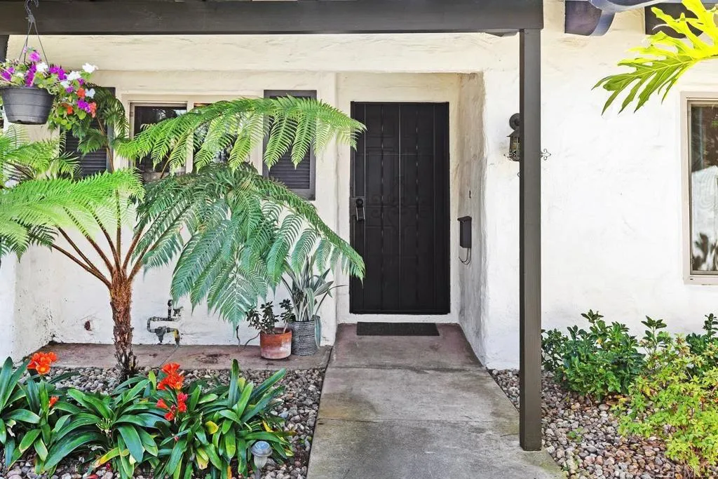 Photo #2: PTP2402002 Listing 