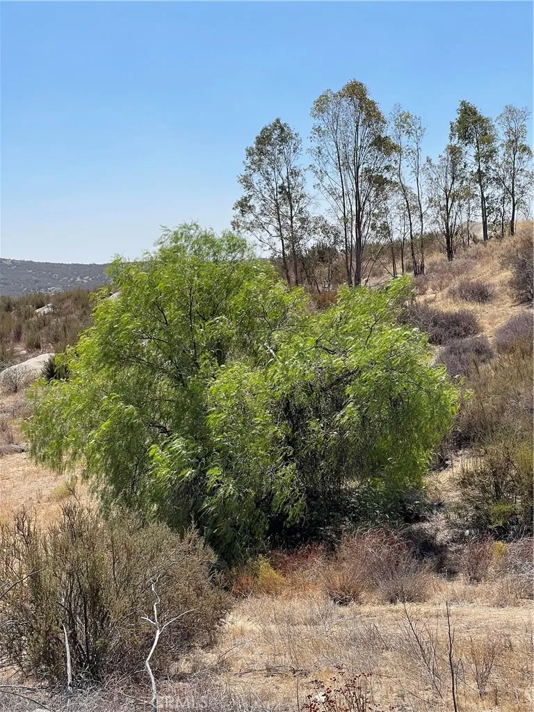 35575 Clothier, Hemet, CA, 92544