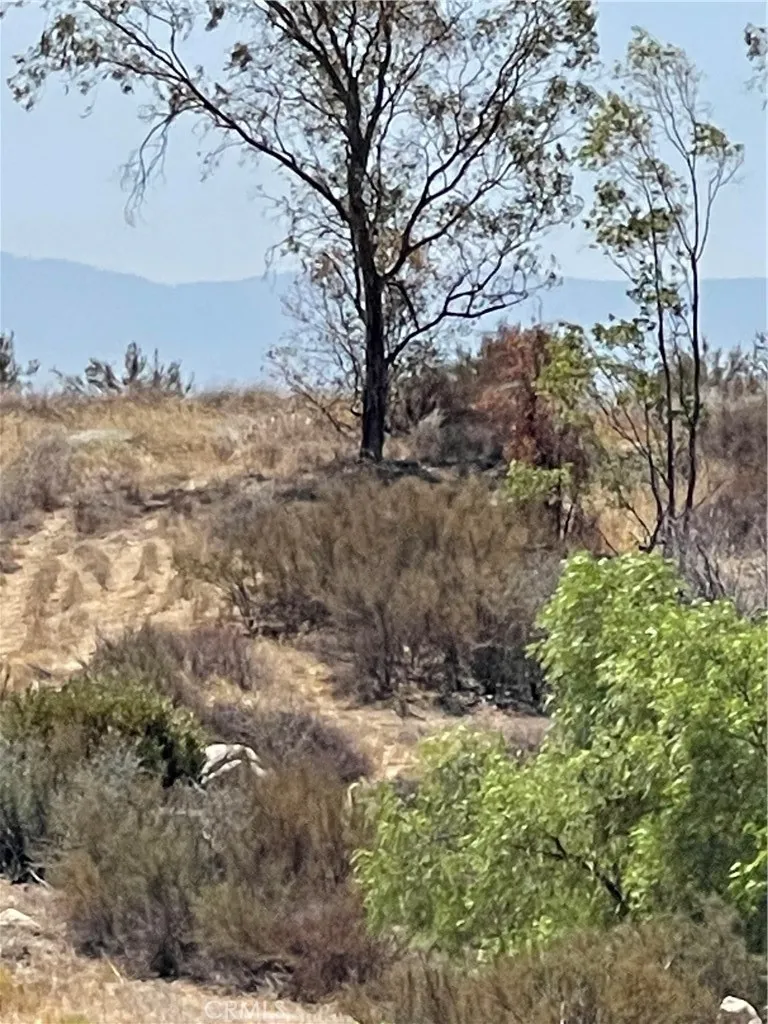 35575 Clothier, Hemet, CA, 92544