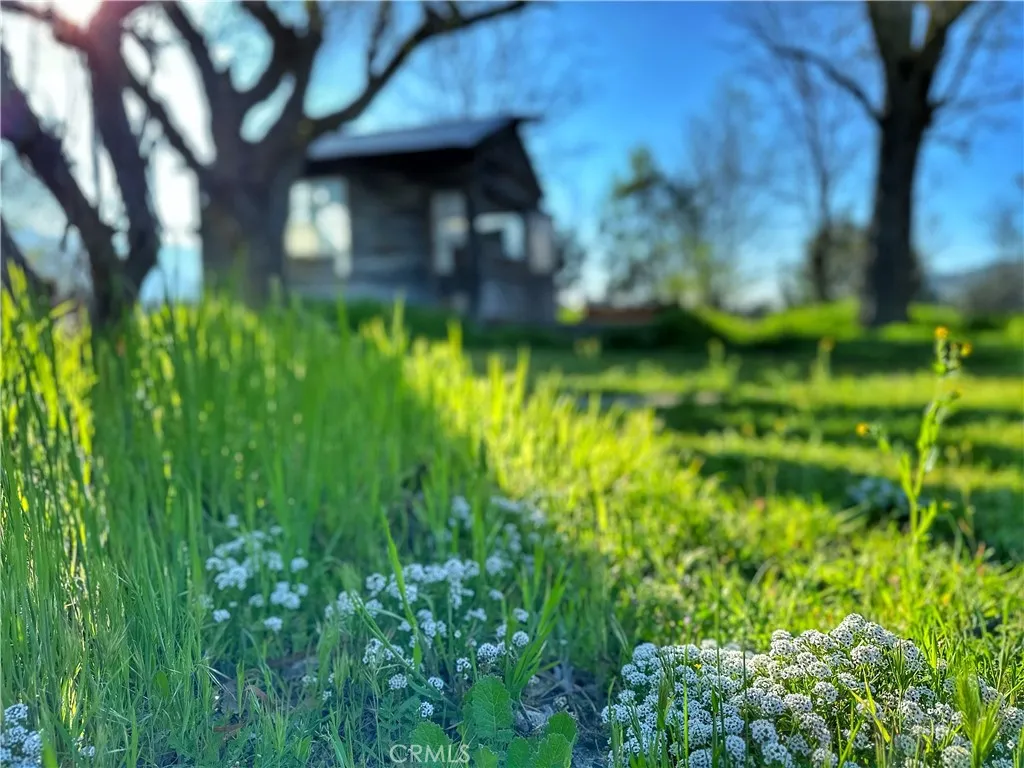 https://cdn.realtyfeed.com/cdn/127/306146845/7f24a5f01dafb483bda6ec37018d810e.webp