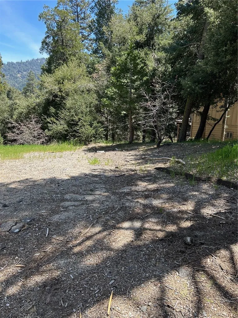 1039 Jungfrau, Crestline, CA, 92325