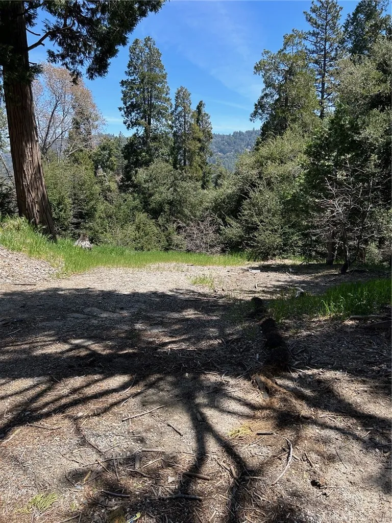 1039 Jungfrau, Crestline, CA, 92325