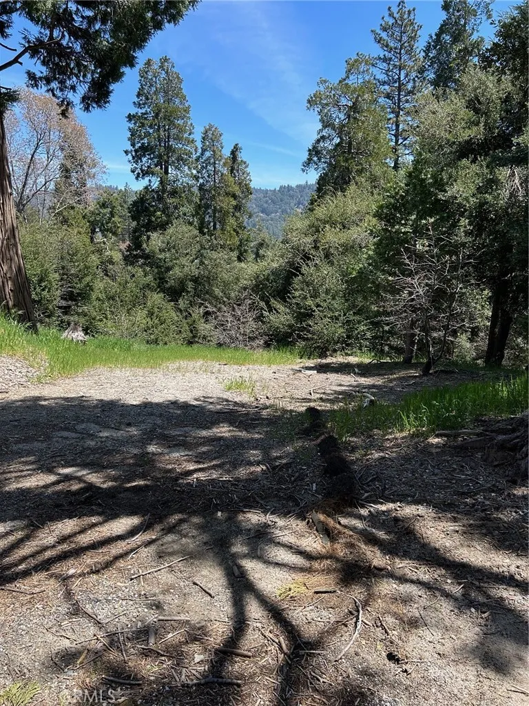 1039 Jungfrau, Crestline, CA, 92325