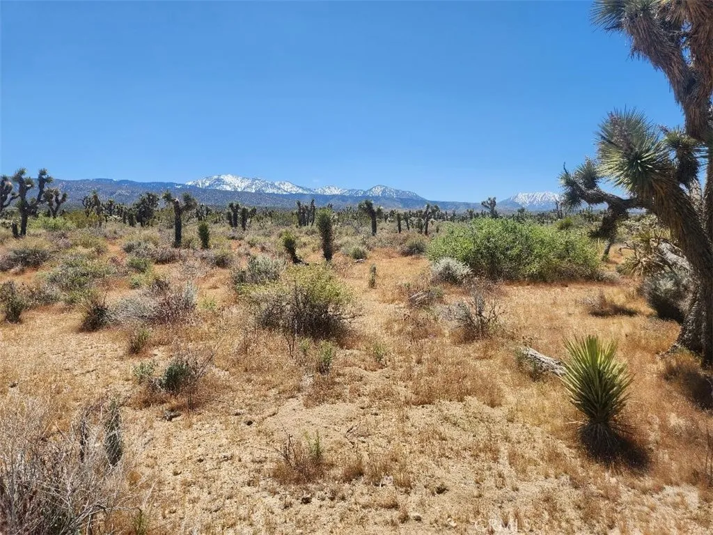 0 Ave X6 212, Llano, Ca 93544 - Photo 5 of 6, Llano, CA