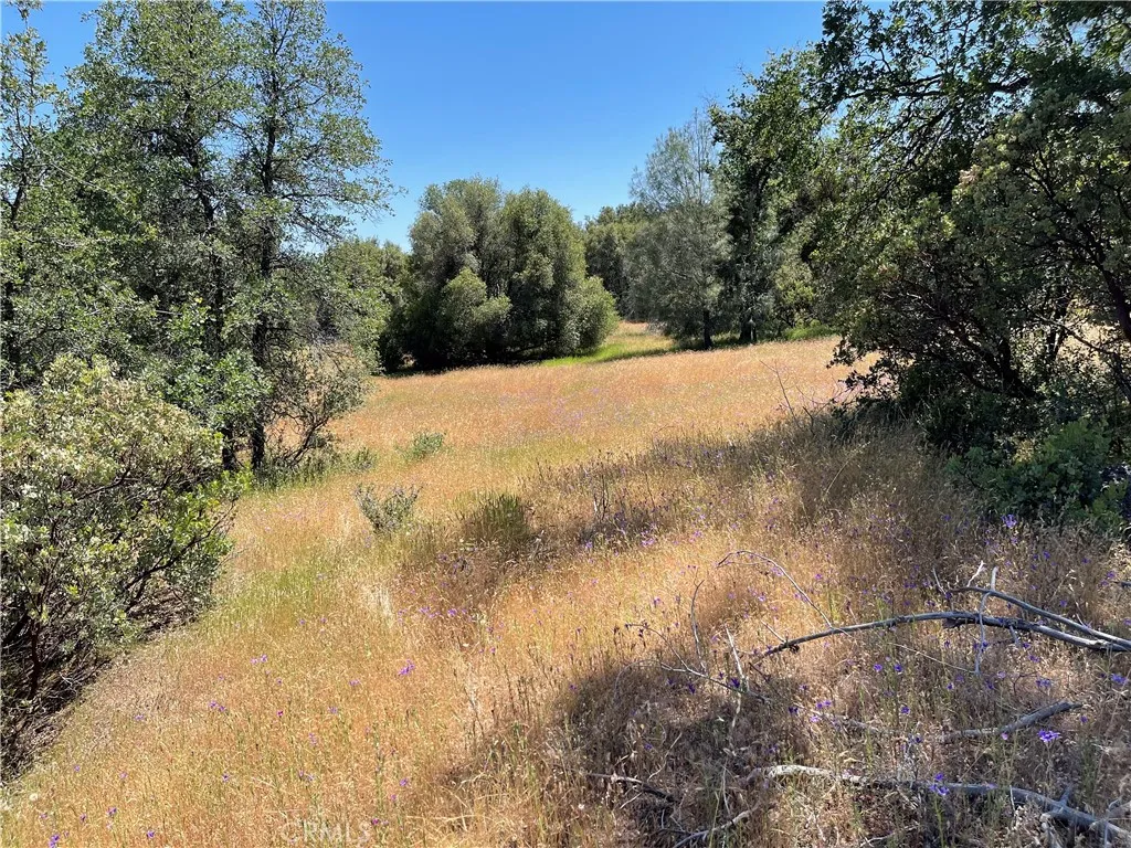 29 Boulder Creek, North Fork, Ca 93643