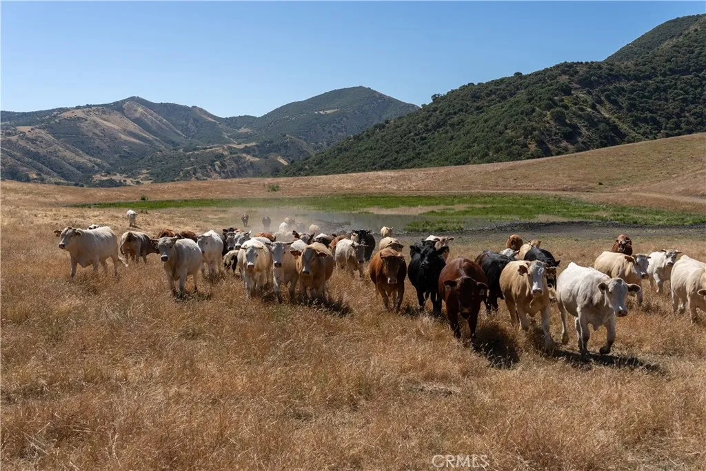 48400 Reliz Canyon, Greenfield, Ca 93927 - Photo 5 of 43, Greenfield, CA