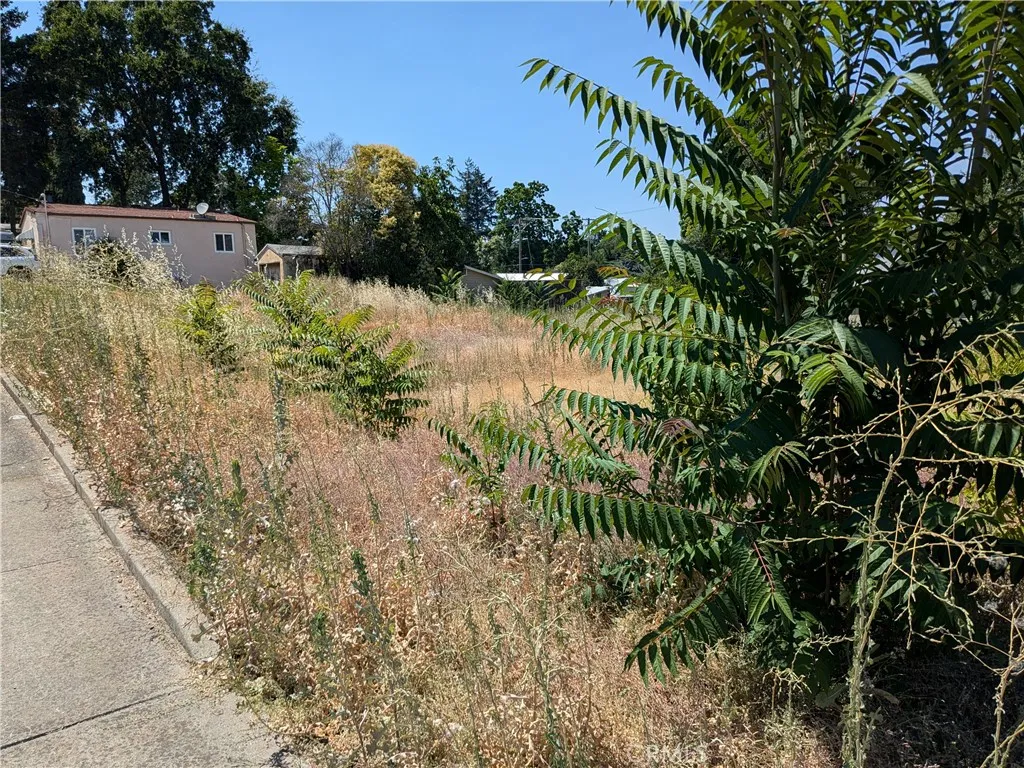 220 4th, Lakeport, Ca 95453
