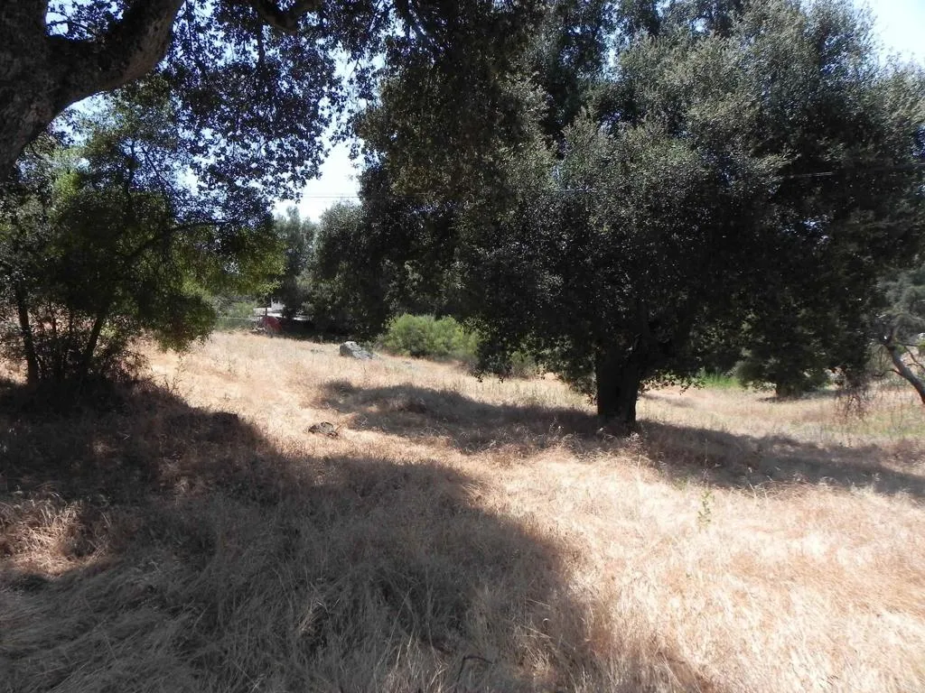 0 Arrowhead, Descanso, Ca 91916 - Photo 3 of 10, Descanso, CA