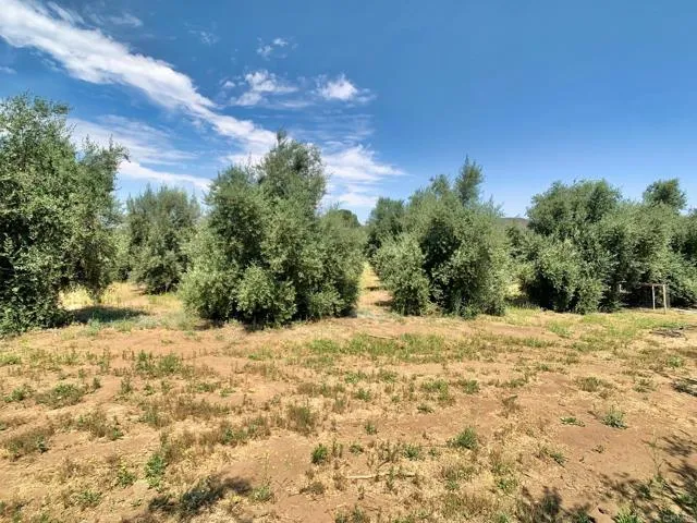 https://cdn.realtyfeed.com/cdn/127/306215196/035275fac45cec8ad8c5bbc74e5a7eda.webp
