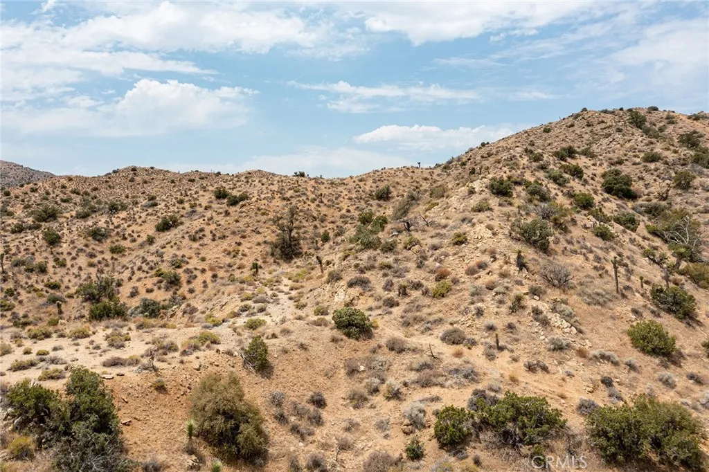 55705 Free Gold, Yucca Valley, Ca 92284 - Photo 5 of 16, Yucca Valley, CA