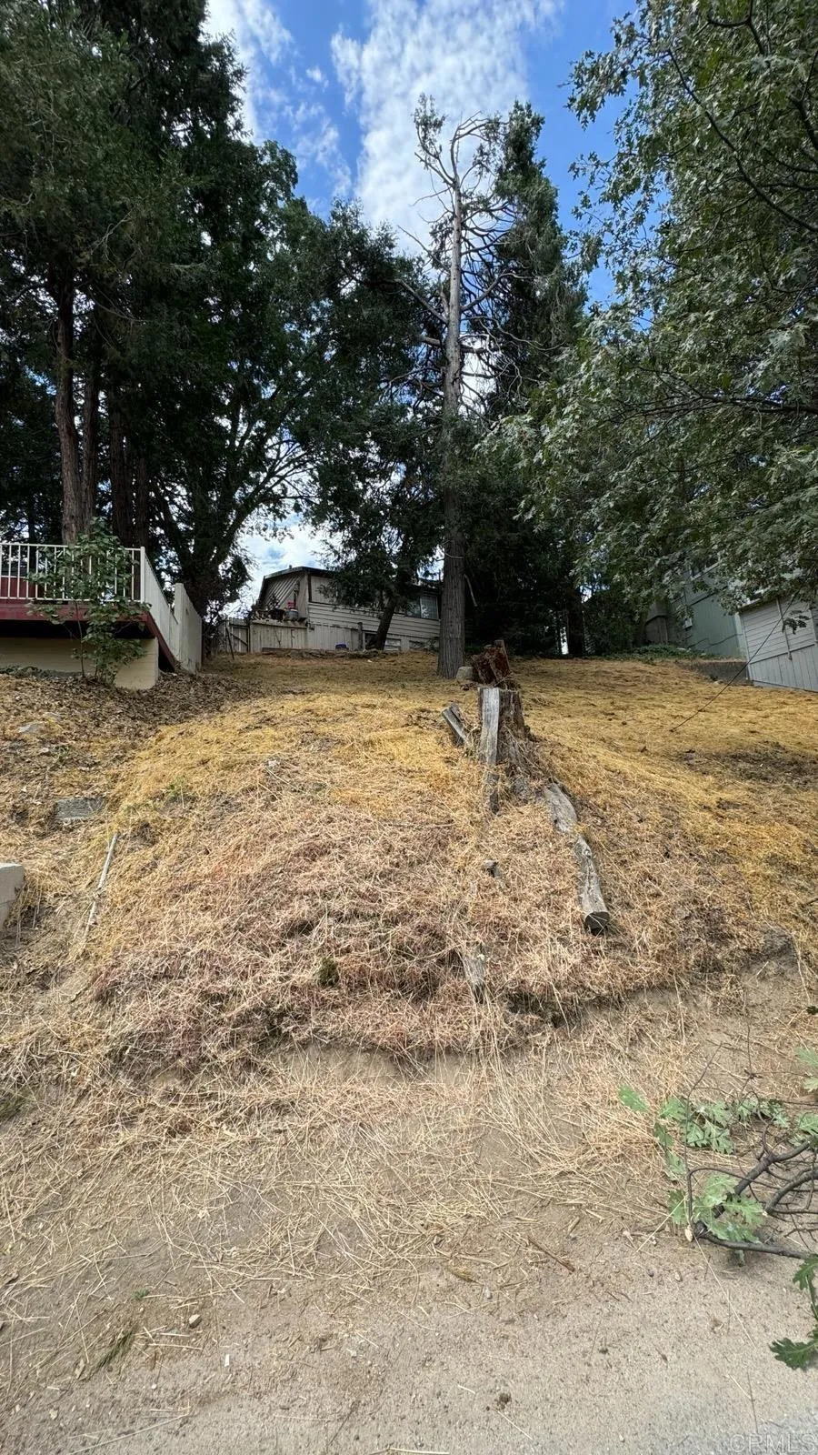Lakeview Dr, Cedar Glen, CA, 92321
