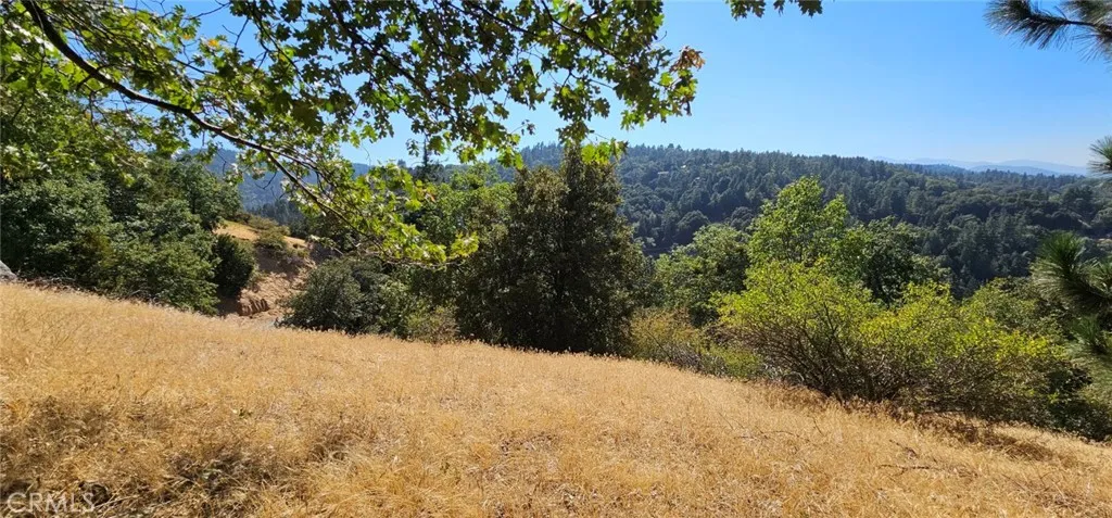 1039 Jungfrau, Crestline, CA, 92325
