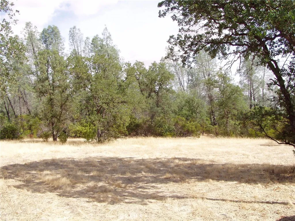 15838 El Dorado, Corning, Ca 96021 - Photo 2 of 3, Corning, CA