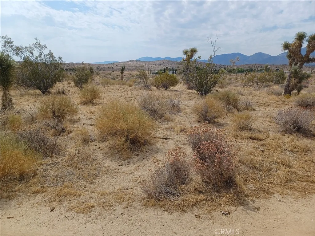 Pearblossom, CA 93553