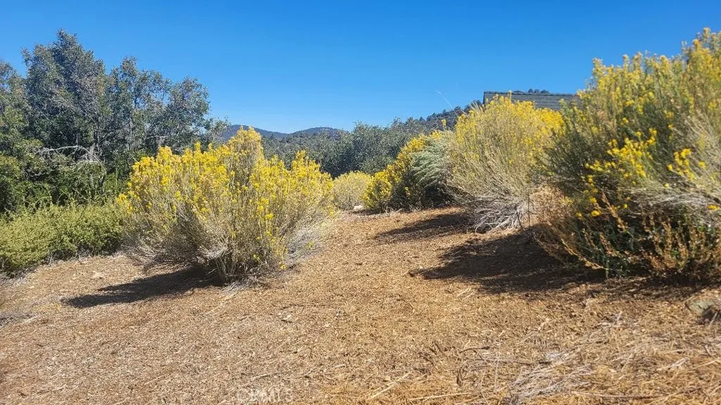 Pine Mountain Club, CA 93222