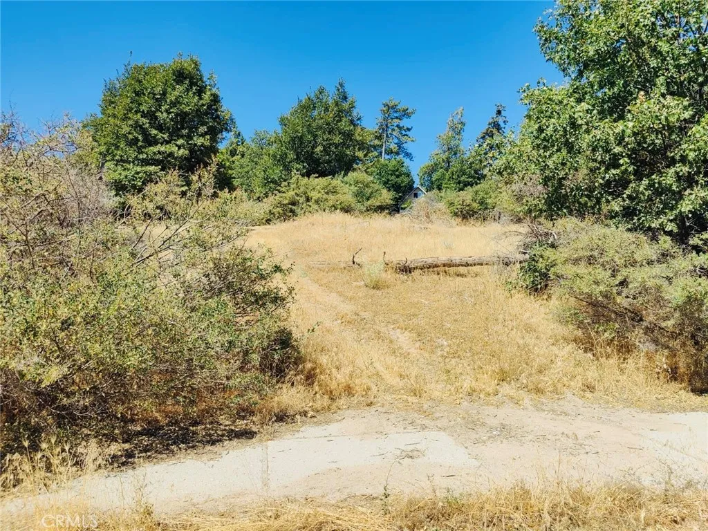 289 Lilac, Cedar Glen, Ca 92321 - Photo 3 of 52, Cedar Glen, CA