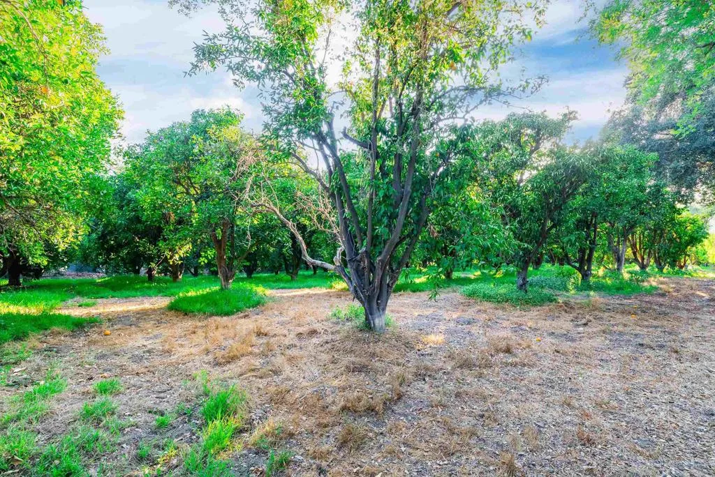 https://cdn.realtyfeed.com/cdn/127/306282707/bc5aedb25e5e52f0a48ff0bcf55a7522.webp