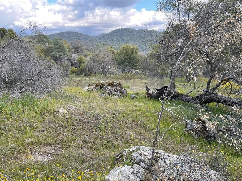 Mariposa, CA 95338