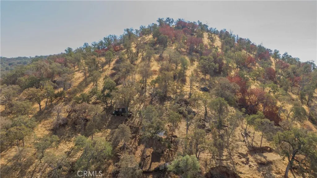 0 Cardinal Ln, Squaw Valley, Ca 93675