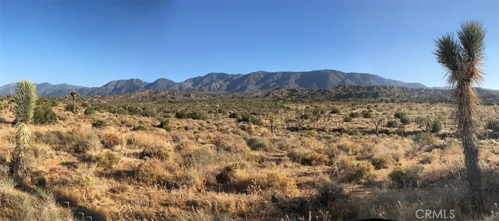 11640 Fort Tejon, Pearblossom, Ca 93553