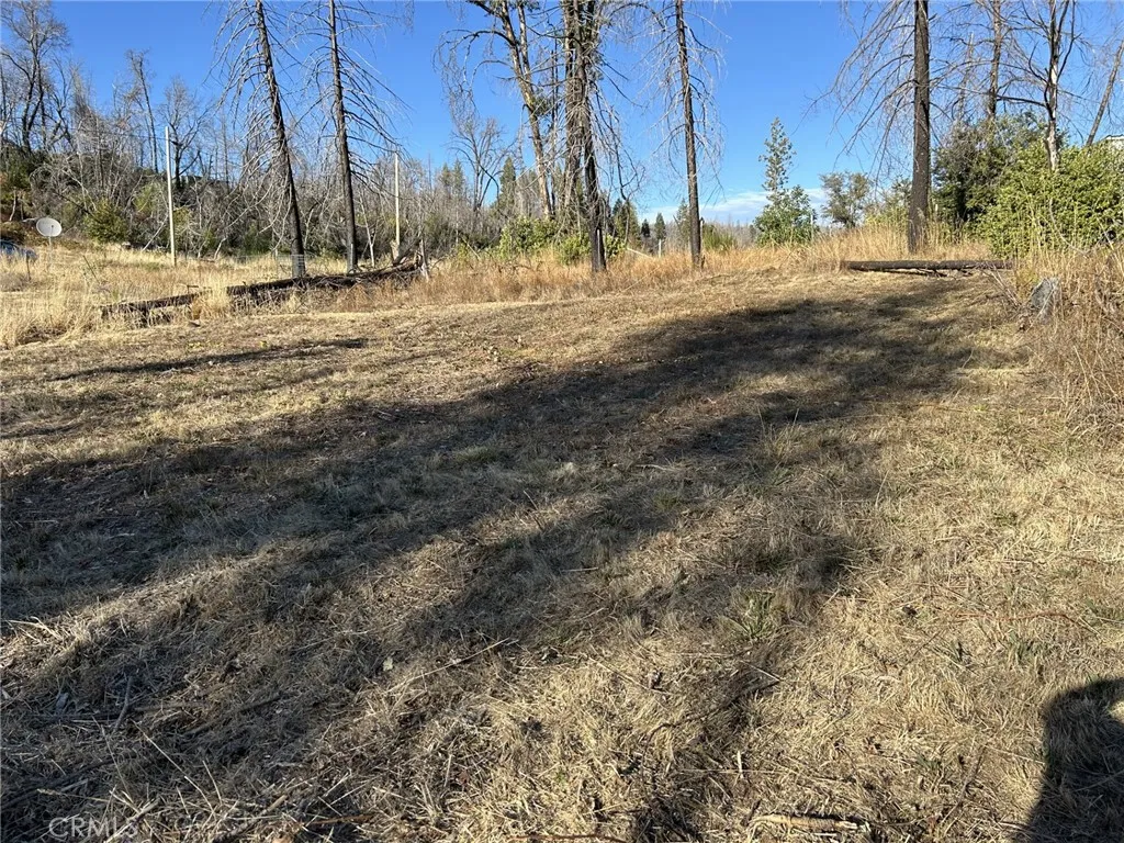 80 Meadow, Berry Creek, Ca 95916 - Photo 2 of 9, Berry Creek, CA