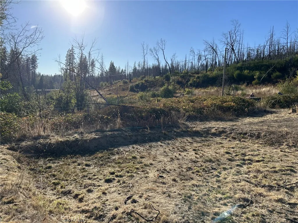 80 Meadow, Berry Creek, Ca 95916