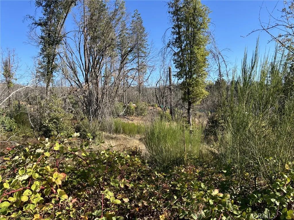 80 Meadow, Berry Creek, Ca 95916 - Photo 4 of 9, Berry Creek, CA